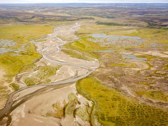 aerial photo - oblique - hydrology & braided river with sedimentation - Thomsen River Estuary, Banks Island, Arctic, Canada