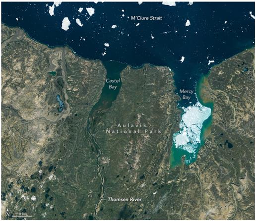 image - landsat 8 OLI - Thomsen River Estuary, Banks Island, Arctic, Canada