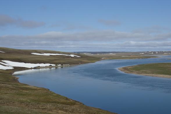 photo - Thomsen River Estuary, Banks Island, Arctic, Canada