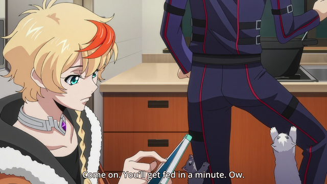 In the background, two kittens climbing a man as he cooks
Subtitle: Come on. You'll get fed in a minute. Ow.