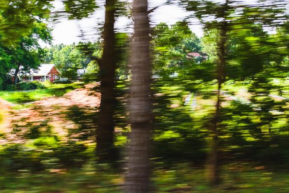 A blurred image of a rural landscape featuring trees in the foreground and houses in the background.