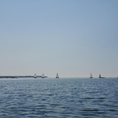 A line of sailboats with Zodiac safety boats, on the ocean horizon. Clear skies.