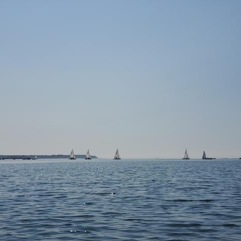 A line of sailboats with Zodiac safety boats, on the ocean horizon. Clear skies.