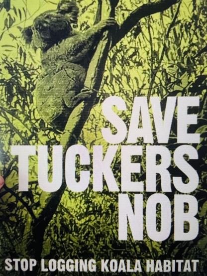 Save Tuckers Nob from logging retro poster