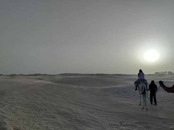 Sanddünen der Sahara bei Sonnenuntergang. Rechts im Bild sieht man jemanden von hinten auf einem Dromedar reiten.