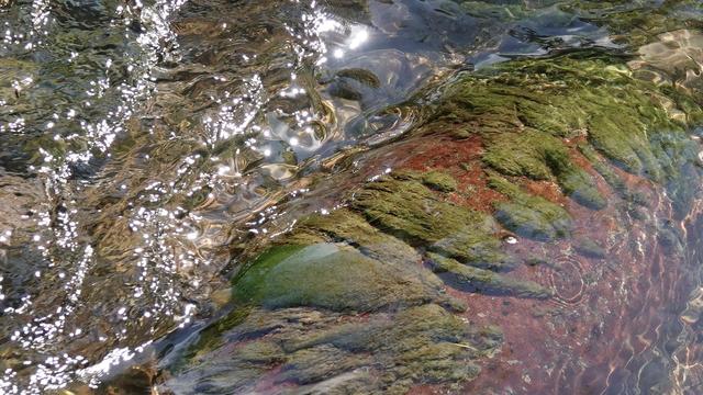 Looking down into a river with a diagonal split bottom left to top right. At the top left white glints from the sun dominate. At the bottom right is an interesting reddish/brown rock.