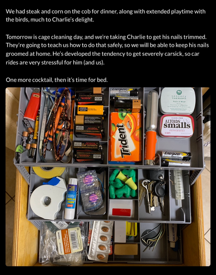 Organized junk drawer