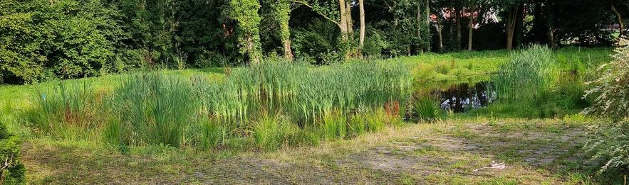 De plek waar nog geen jaar geleden een vervallen boerderij stond, nu een vijver vol waterplanten