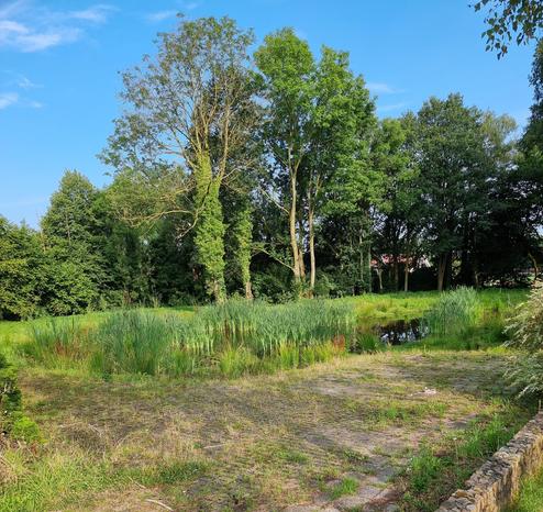 De plek waar nog geen jaar geleden een vervallen boerderij stond, nu een vijver vol waterplanten