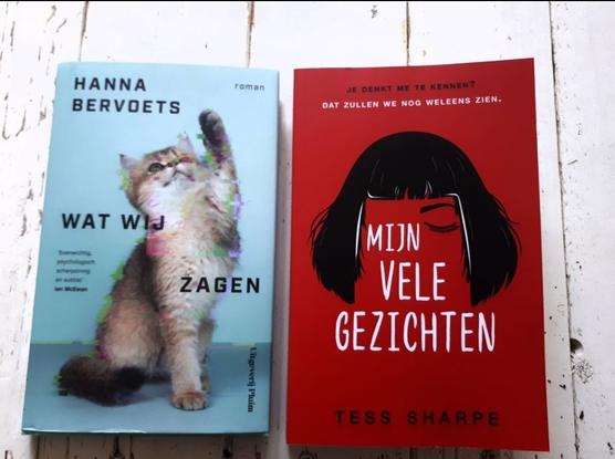 Twee boeken liggen op een witte houten tafel. Links ligt het boek "Wat wij zagen". Het heeft een lichtblauw cover met een kat die haar poot optilt. De afbeelding is een beetje verpixeld. Rechts ligt het boek "Mijn vele gezichten". Het heeft een rood cover met in het midden een silhouet van een  van hoofd met lang haar waarbij het gezicht is weggelaten. Terhoogte van het gezicht staat de