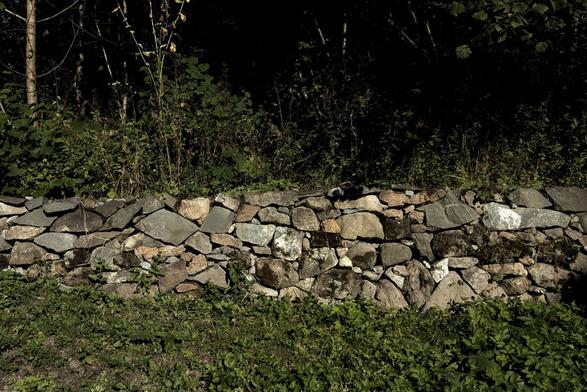The photo shows a dry stone wall, with a meadow in front and forest behind it.