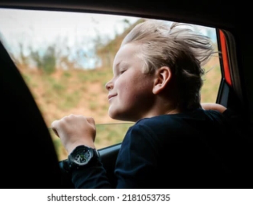 Boy leaning with head out the car window.