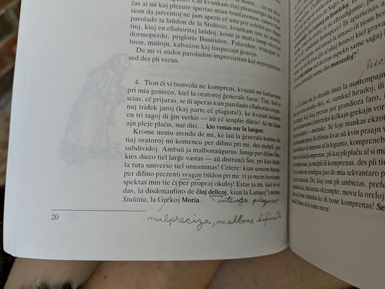 Foto de paĝo el libro, kiu havas enskribaĵo farita per krajono. Oni substrekis la vorton »svagan«, kaj notis ke ĝi signifas »malpreciza, malbone difinita«. Ĝi ankaŭ substrekis »delicojn«, kaj notis la signifon »intensa plezuro«.
