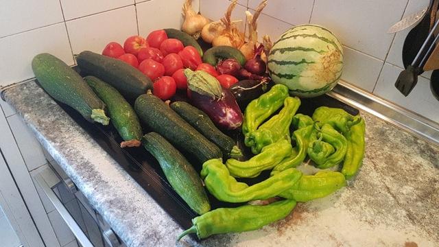 Contenido de la cesta de la semana sobre una placa de cocina. Del fondo hacia la cámara, hay cebollas blancas y rojas, una sandía, pepinos, una berenjena negra y otra morada, pimientos verdes, tomates y calabacines.