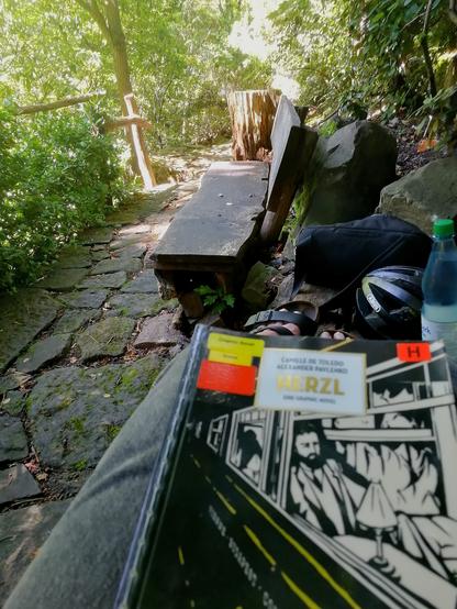 POV: Beine und Füße auf einer Bank im Grünen, im Vordergrund die Graphic Novel "Herzl" von Camille de Toledo und Alexander Pavlenko