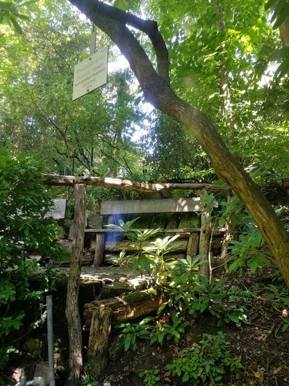 Eine Bank aus Naturholz, davor ein hölzernes, unregelmäßig gearbeitetes Holzgeländer. Die Bank steht in mitten von Büschen und Bäumen im Schatten. Blick leicht von unten.