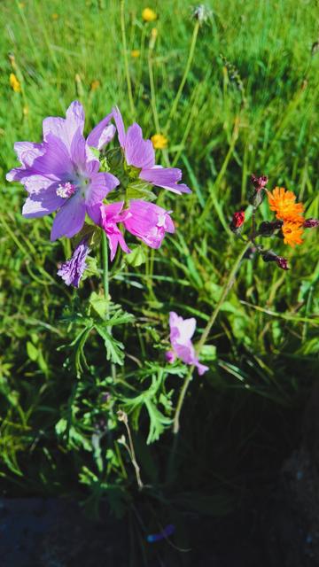 #VisualSearch is #QuiteCool...