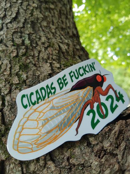 A sticker nestled into a tree. The sticker is an image of a seductive cicada with words reading Cicadas be fuckin. 2024