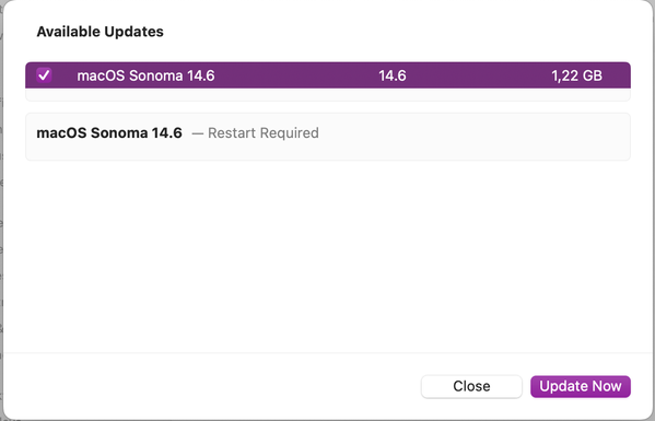 “More Info” dialog, not showing additional info (besides update size and “restart required” note.)