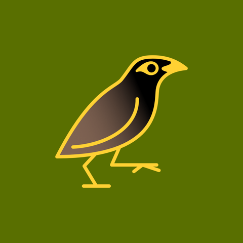 An illustration of a mynah bird outlined in yellow against a green background