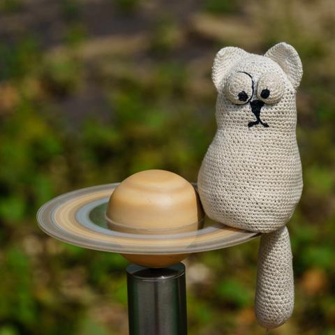 Fly on the Rings of Saturn