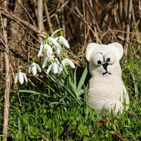 Der Frühling treibt auch seltsame Blüten