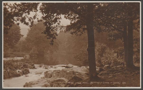 Sepia real photographic postcard showing the still pool at Betws-y-Coed in Caernarvonshire.
Published by Judges Ltd, Hastings, No 7495, 1923.
Postally unused.
Very good condition, with very slight corner bumps.