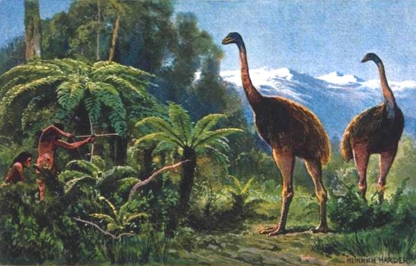 graphic / drawing - Māori hunting moa
