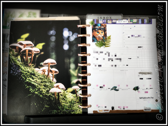 Photo of a discbound planner open to a weekly dashboard page and a full-page image dashboard depicting three groupings of mushrooms growing out of a mossy base.