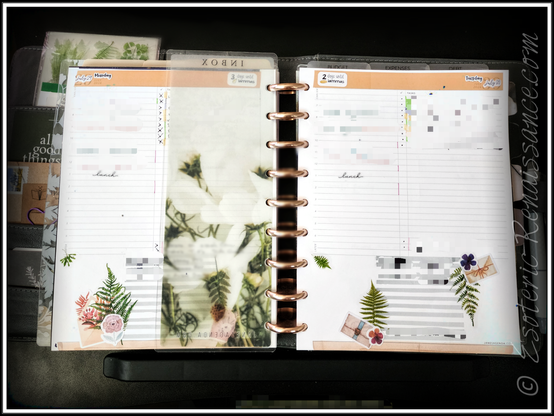 Photo of a discbound planner open to a spread of two daily pages. A large bookmark labelled 'Inbox' rests over the inner half of the lefthand page. Stickers depicting mail, flowers, and fern leaves highlight the bottom notes section of each daily page.