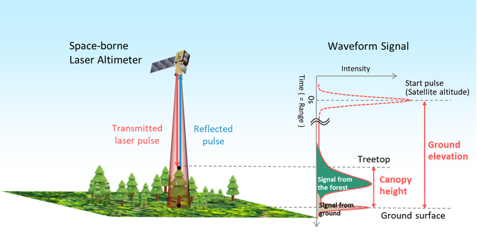 graphic / 3D visualisation - basics of the physics / technical aspects of how LiDAR data used to measure a tree stand