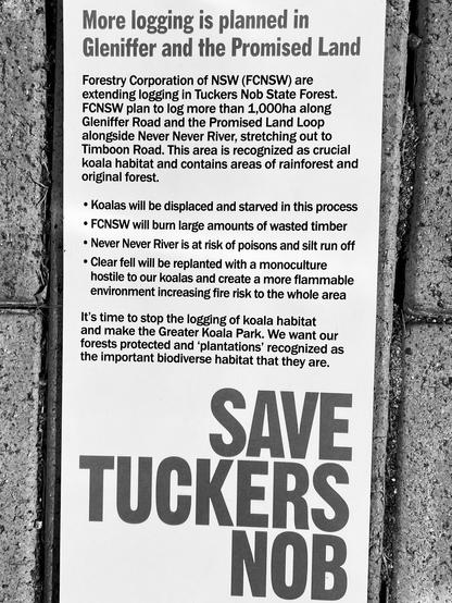 Logging Bellingen, NSW, biodiversity habitat and home of the koala
#SaveTuckersNob