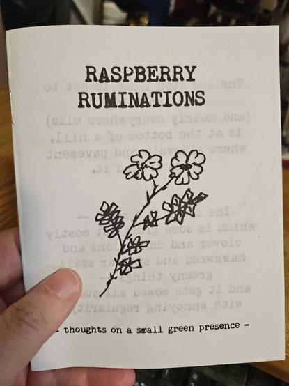 A hand holding up a quarter-page sized home printed zine on printer paper.

The zine is called Raspberry Ruminations; the cover shows the title in all-caps, a doodle of a raspberry cane with leaves and two flowers, and a subtitle of 'thoughts on a small green presence'.

The text on the inside can be faintly seen through the cover.