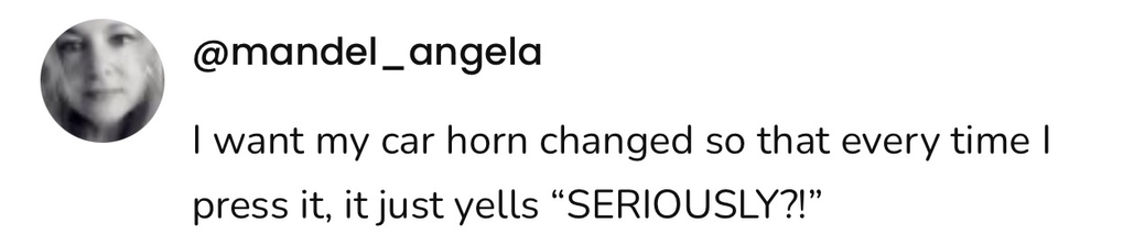 A social post from @mandel_angela on X that says: I want my car horn changed so that every time I press it, it just yells “SERIOUSLY?!”