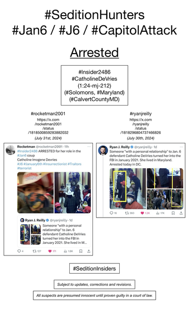 Screenshots of social media posts from #rocketman2001 & #ryanjreilly, pertaining to January 6th riot suspect Catholine DeVries (Solomons, Maryland).