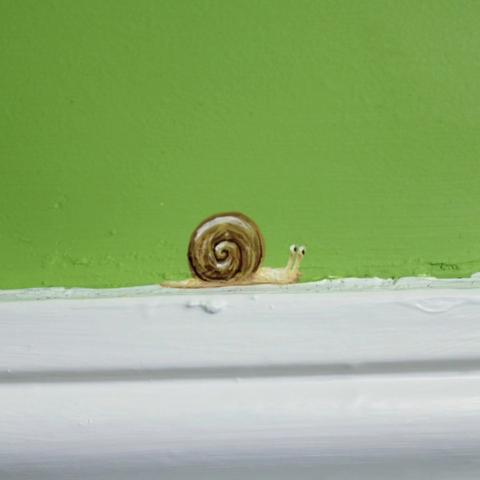 Close up of the snail.