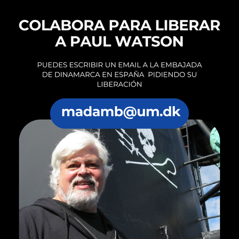 La imagen con fondo de color negro, muestra una foto de Paul Watson.
En la parte superior de la imagen está la siguiente información en letras mayúsculas y en color blanco: COLABORA PARA LIBERAR A PAUL WATSON.
PUEDES ESCRIBIR UN EMAIL A LA EMBAJADA DE DINAMARCA EN ESPAÑA PIDIENDO SU LIBERACIÓN.
A continuación está la foto de Paul Watson.
En la parte superior de la foto se abre un ovalo achatado en las partes centrales de color azul que en letras blancas contiene el texto: madamb@um.dk