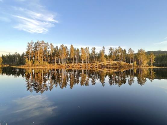 Reflection of the shore in still water, reddish morning light