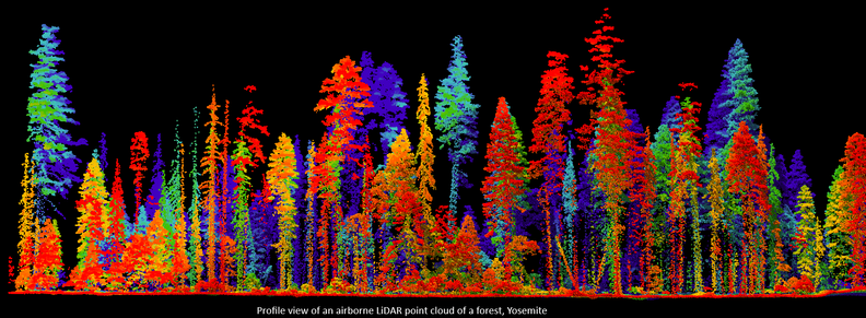 graphic - coloured profile view of an airborne LiDAR point cloud of a forest, Yosemite