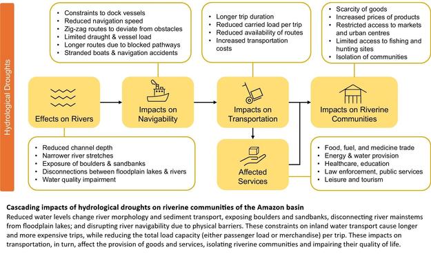schematic - Cascading impacts of hydrological droughts on riverine communities of the Amazon basin
