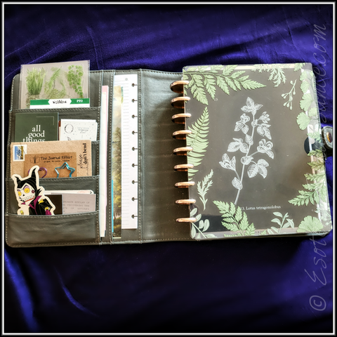 Photo depicts an open planner. The front cover is clear with fern fronds along the edges. Through it can be seen a black dashboard with a printed sketch of a Lotus Tetragonolobus in white ink in the center showing through. The planner is held together with gold discs and is wrapped in a gray faux leather cover. A variety of cards and stickers can be seen in the pockets lining the left side.