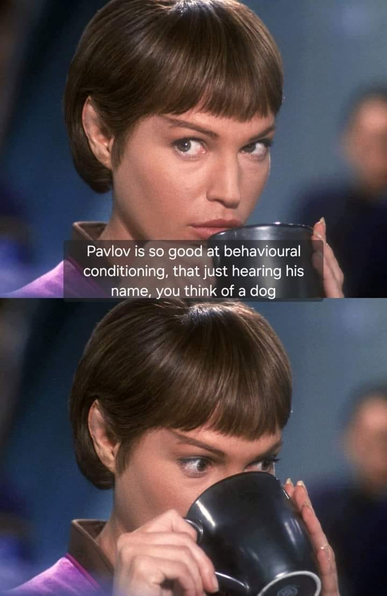 Meme showing T'Pol (from the Star Trek Enterprise series) having a mischievous expression on her face while drinking a hot beverage. The Caption reads: "Pavlov is so good at behavioural conditioning, that just hearing his name, you think of a dog"