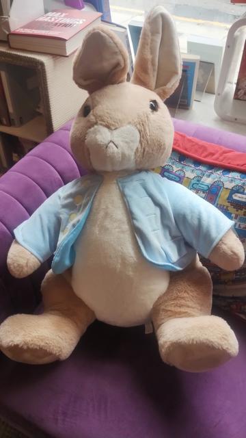 Large, cuddly Peter Rabbit plushie sitting on an armchair in the Edinburgh Bookshop