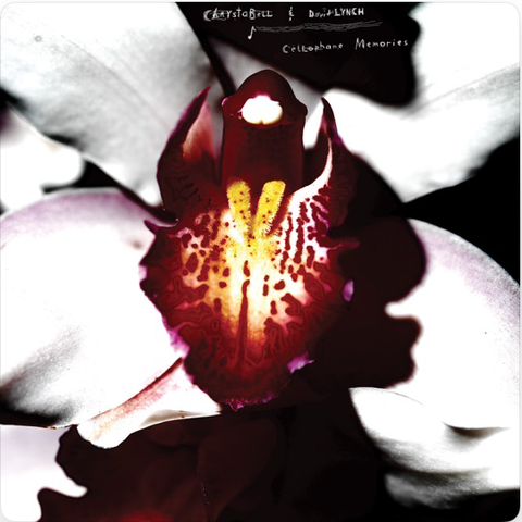 Das Cover der CD zeigt bildfüllend eine weiße Orchideenblüte mit dunkelrot-weiß geflammtem Muster in der Mitte