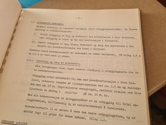Teksten på side 6 viser to alternative prinsipper for utbyggingen. Alternativ II, det anbefalte, er samlet utbygging av Opo, Kinso, Erdalselv og Veig fra Busetevatn i Erdalselv med hovedkraftstasjon ved Erdal i Eidfjord.