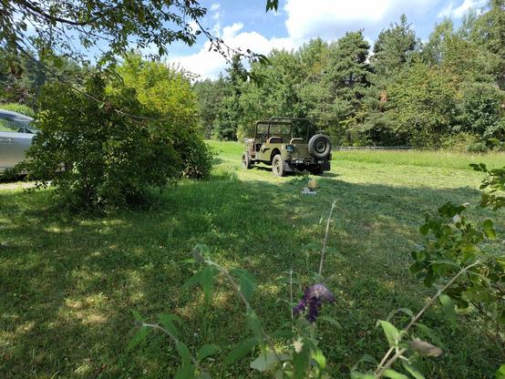 Alter olivgrüner Jeep auf Wiese
