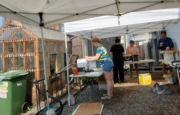 4 people on fruit sorting team, standing at tables, under event tents. They have boxes on the tables & are sorting fruits.
A small greenhouse is to the far left with green compost wheeled bin in front.