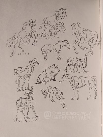 Black ink on paper. 

Various quick sketches of hooved animals, mostly drawn in few lines.