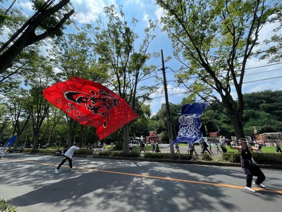 Wide angle photo of two festival performers in the middle of a sunny tree lined street.

The performer on the left holds up a very large red flag with ornate black Japanese writing on it. It's approximately 3 meters high and 5 meters long, and is being waved dramatically back and forth on a very long flexible pole.

The performer on the right is waving a slightly smaller but still very large blue flag with white writing.

In the background across the street there are some spectators, a park lawn area, and some festival food stalls.