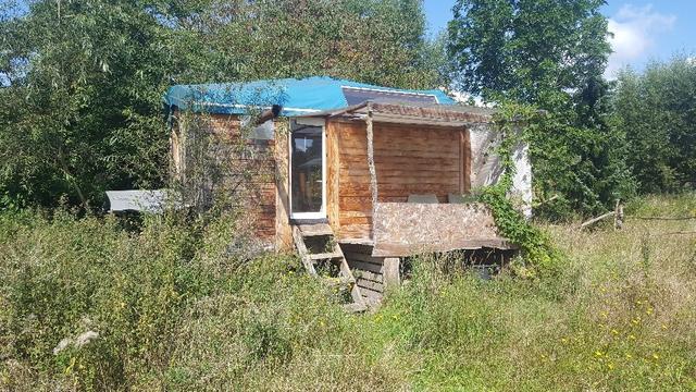 Ein Bauwagen aus Holz mit einem grünen Dach in einem verwunschenen Grün aus Pflanzen drumherun
